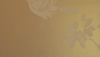 de Gournay handbemalte Tapete