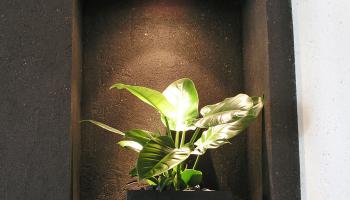 Lesando Lehmdecorputz